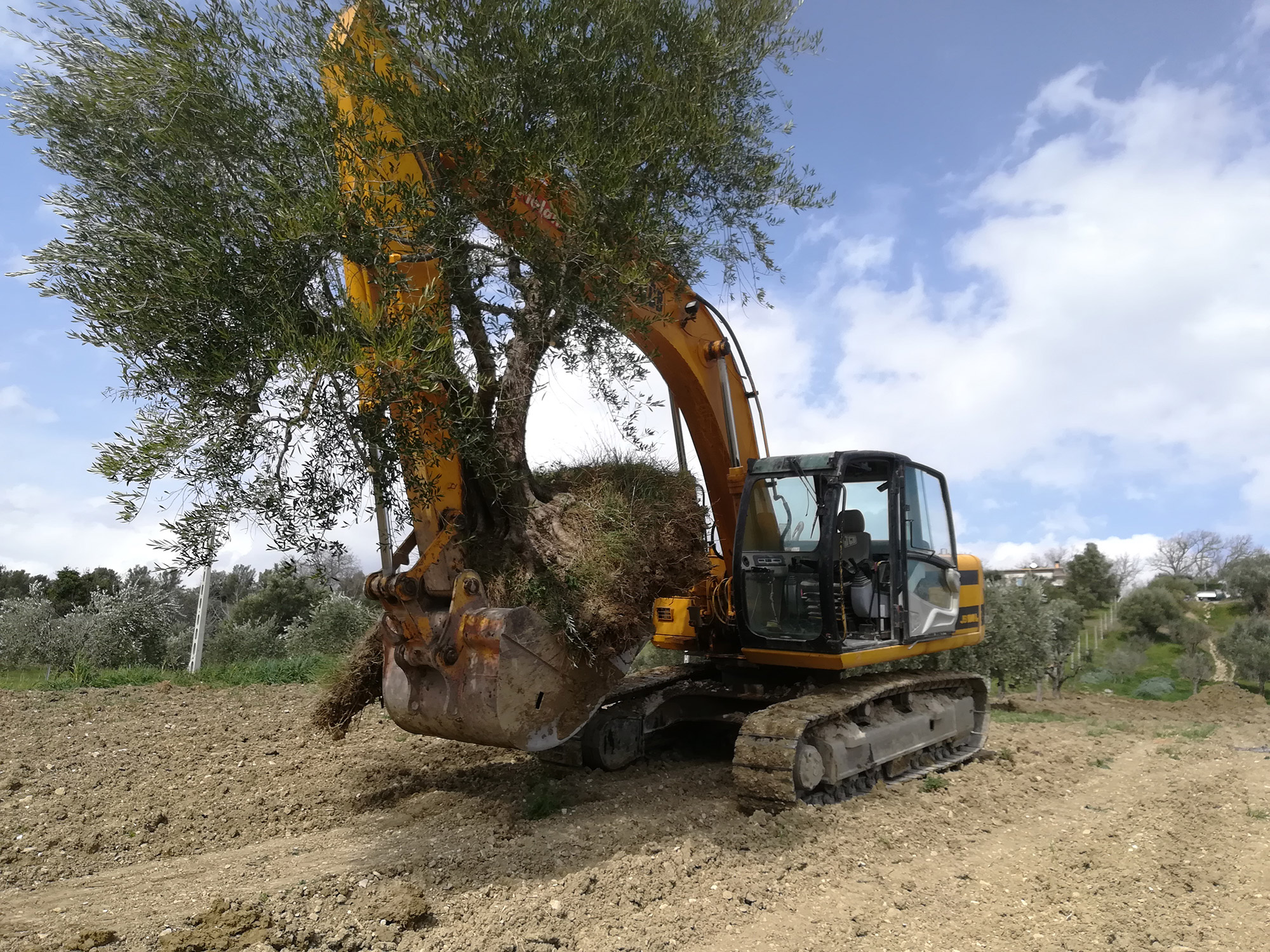 Lattanzi movimento terra Macerata