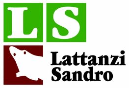 Lattanzi Sandro